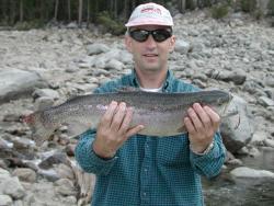trout.jpg (12542 bytes)